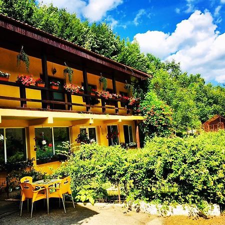 Bed and Breakfast House In The Woods Resita Esterno foto
