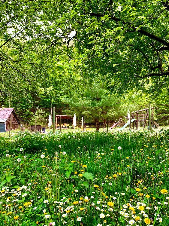 Bed and Breakfast House In The Woods Resita Esterno foto