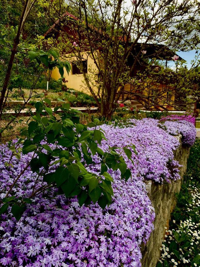 Bed and Breakfast House In The Woods Resita Esterno foto
