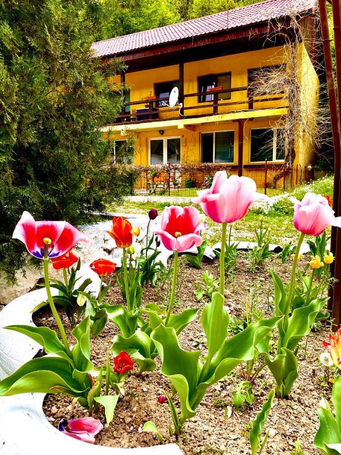 Bed and Breakfast House In The Woods Resita Esterno foto