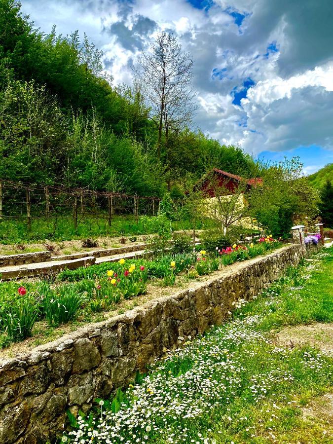 Bed and Breakfast House In The Woods Resita Esterno foto