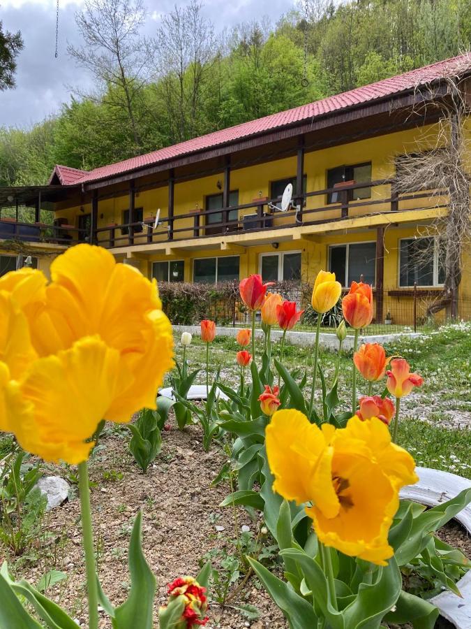 Bed and Breakfast House In The Woods Resita Esterno foto