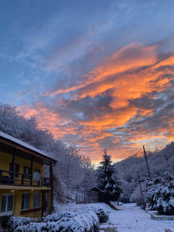 Bed and Breakfast House In The Woods Resita Esterno foto