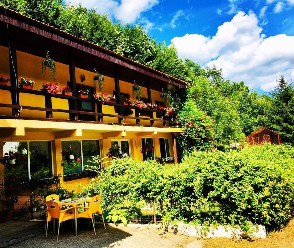 Bed and Breakfast House In The Woods Resita Esterno foto