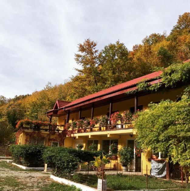 Bed and Breakfast House In The Woods Resita Esterno foto