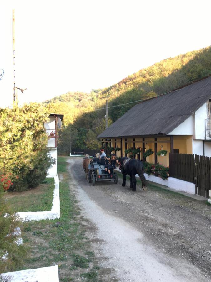Bed and Breakfast House In The Woods Resita Esterno foto