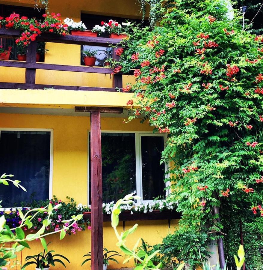 Bed and Breakfast House In The Woods Resita Esterno foto