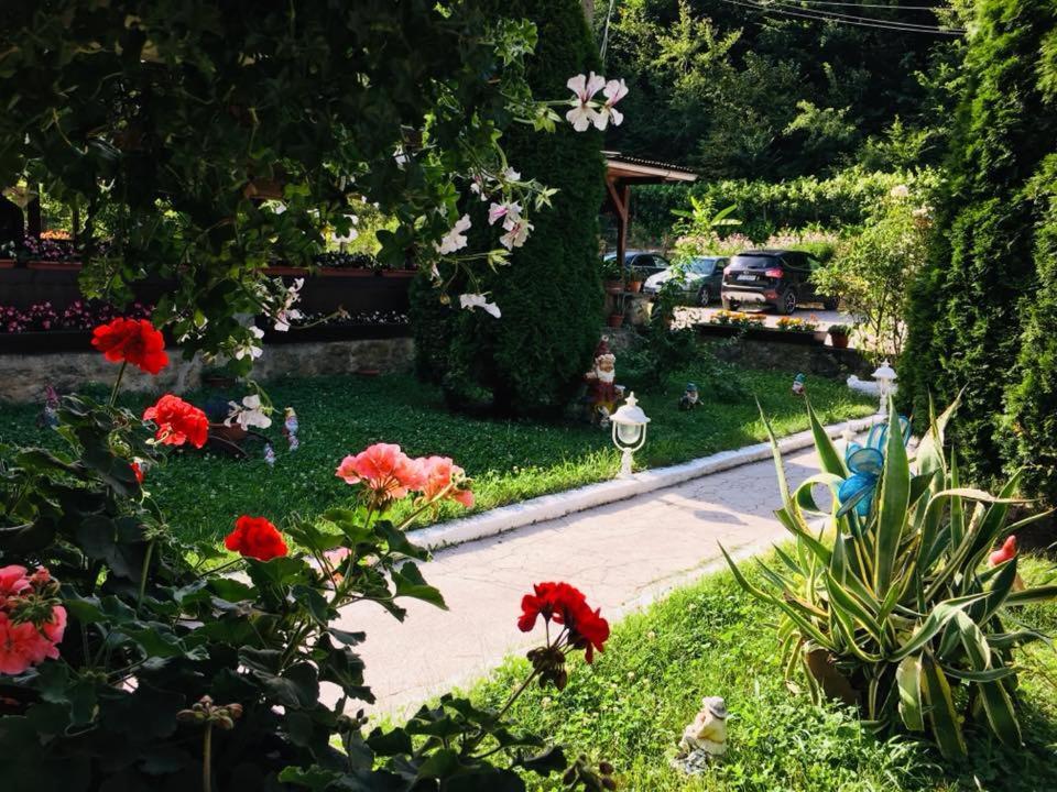 Bed and Breakfast House In The Woods Resita Esterno foto