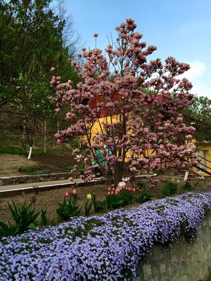 Bed and Breakfast House In The Woods Resita Esterno foto