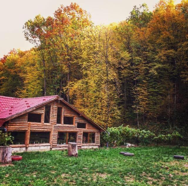 Bed and Breakfast House In The Woods Resita Esterno foto