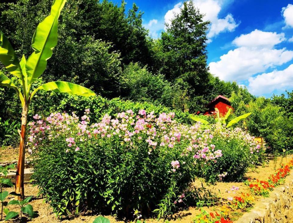 Bed and Breakfast House In The Woods Resita Esterno foto