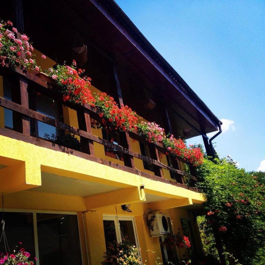 Bed and Breakfast House In The Woods Resita Esterno foto
