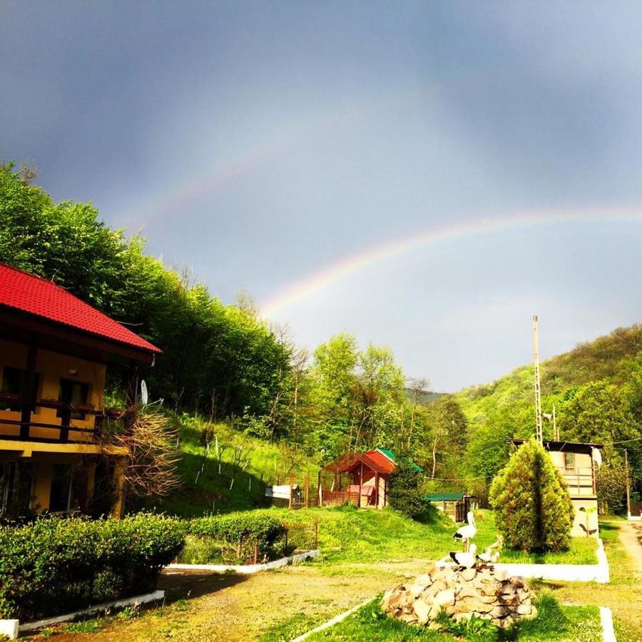 Bed and Breakfast House In The Woods Resita Esterno foto