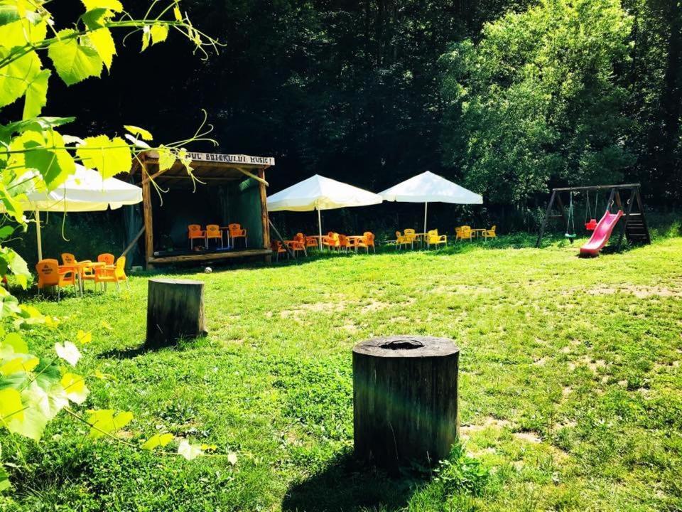 Bed and Breakfast House In The Woods Resita Esterno foto