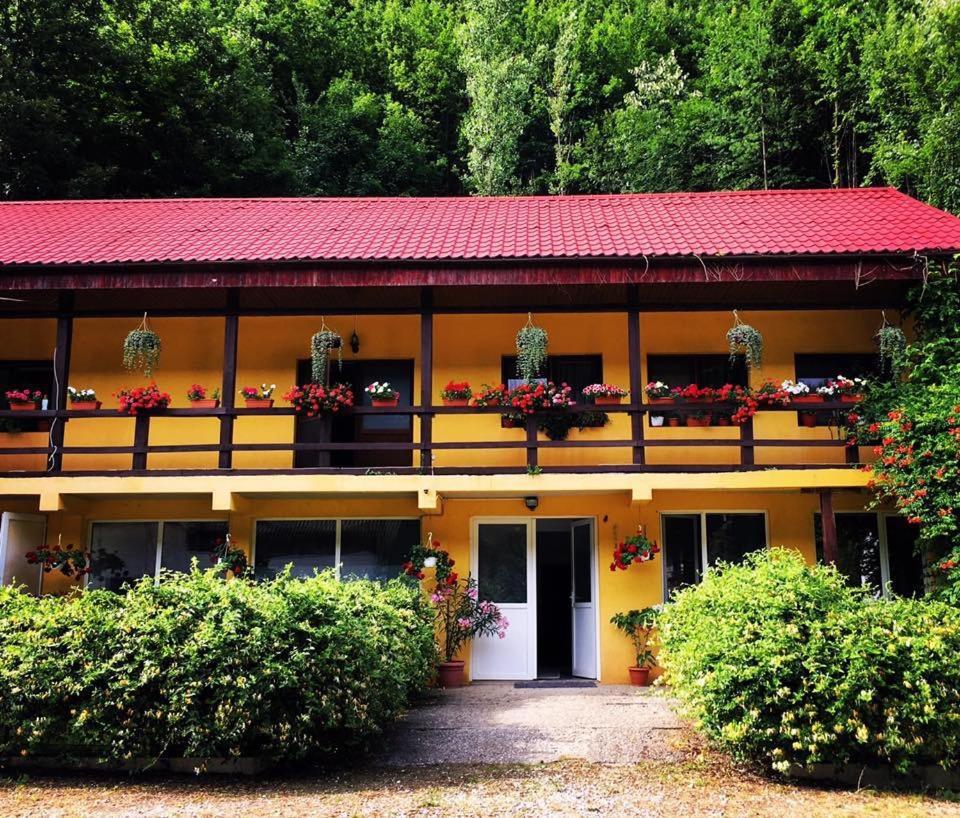 Bed and Breakfast House In The Woods Resita Esterno foto